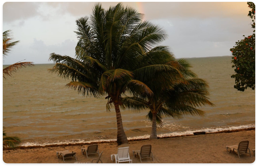Placencia Belize Beach Resort