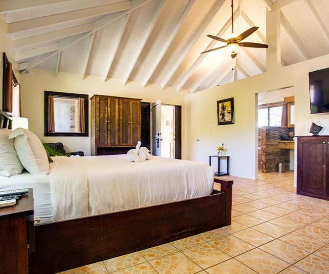 Placencia Belize Beach Resort Suite