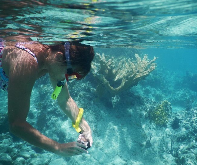 Placencia Belize Resort Snorkeling