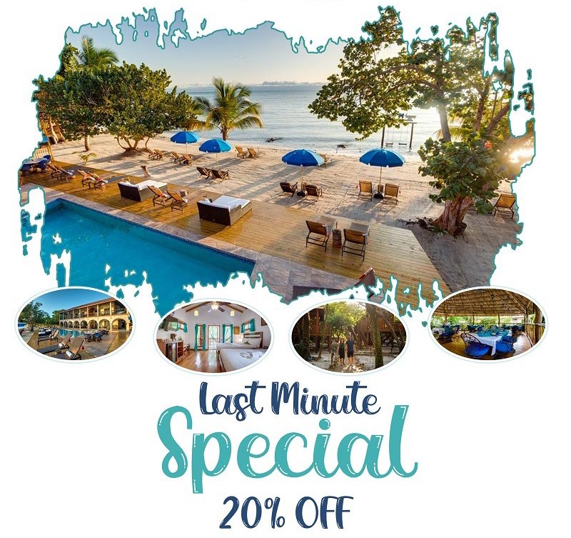 Special Offer