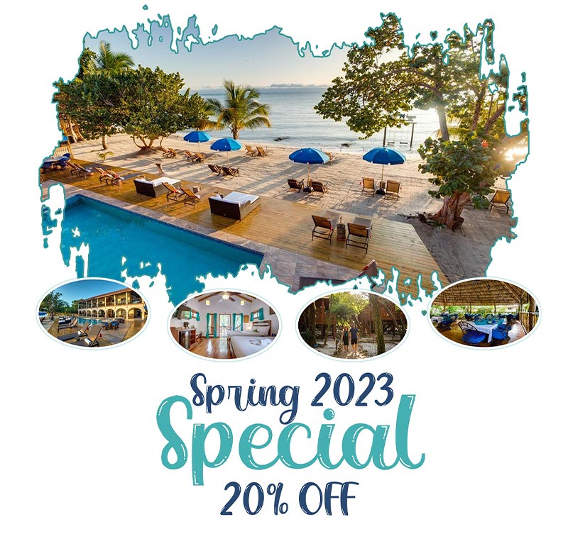 Spring Special